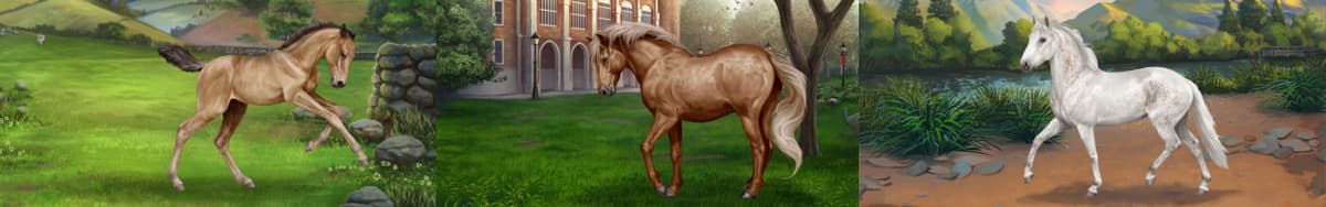 Horse Reality