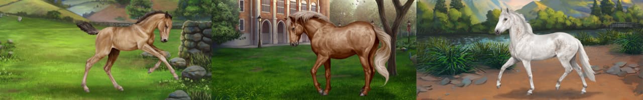 Horse Reality iFokus